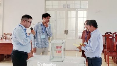 Successful auction of the first "golden" land plot in Dong Nai