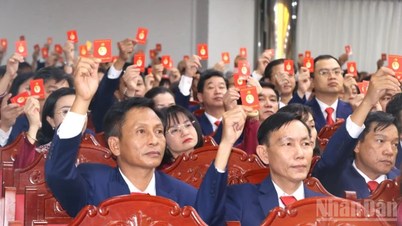 Dong Nai ខិតខំសម្រេចបាននូវលក្ខណៈវិនិច្ឆ័យជាមូលដ្ឋាននៃទីក្រុងដែលគ្រប់គ្រងដោយកណ្តាលនៅឆ្នាំ 2030។