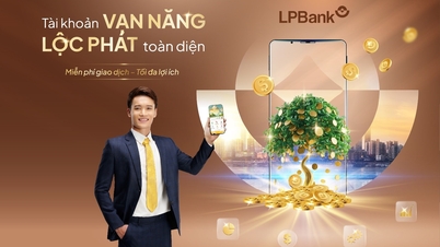 គណនី Van Nang - Loc Phat៖ ជាដំណោះស្រាយសន្សំសំចៃសម្រាប់អាជីវកម្មចំពេលមានសម្ពាធទីផ្សារ