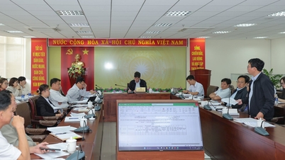 Lam Dong determined to digitize site clearance work