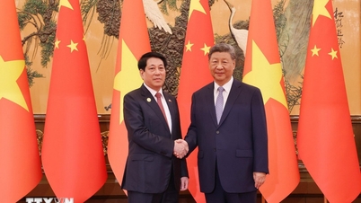 Việt Nam luôn ưu tiên hàng đầu việc củng cố và phát triển quan hệ Việt-Trung