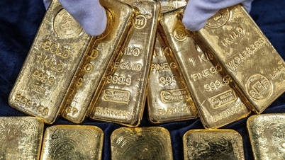 Domestic gold price hits new peak — Experts warn of risk of 'buying at the peak'