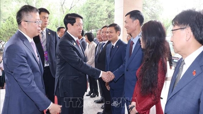 Prezident Luong Cuong se setkal s vietnamskou komunitou v Číně