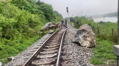 Caída de rocas desplaza el ferrocarril Norte-Sur