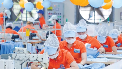 Hướng đến xuất khẩu bền vững