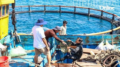 해상 농업 - 3부: 개척자들의 과제