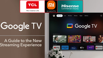 Google TV giá rẻ lên ngôi, loại nào đáng tậu?