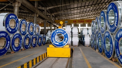 Cơ nghiệp lao đao, nữ chủ tịch thế chấp cả nhà riêng để vay nợ