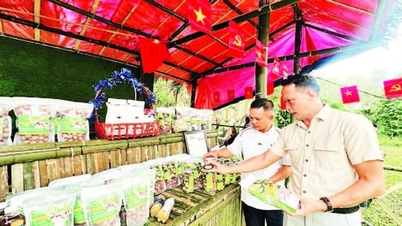 Economía agrícola en Sa Loong