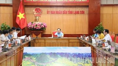 도 인민위원회는 토지 관리와 관련된 여러 가지 문제에 관해 주제별 회의를 열었습니다.