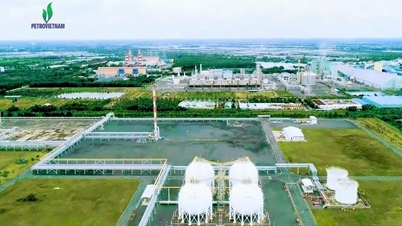 Petrovietnam – 50 Năm Giữ Lửa Di Sản, Kiến Tạo Năng Lượng Quốc Gia