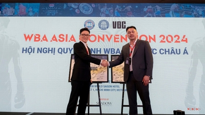 Ngành thể thao lên tiếng việc Chủ tịch Liên đoàn Quyền anh Việt Nam ‘mất tích’