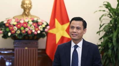 Vietnam dengan sepenuh hati mendukung, membantu dan bekerja sama secara komprehensif dengan Kuba.