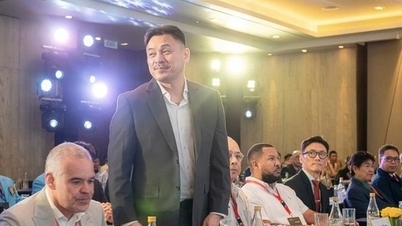 Presiden Federasi Tinju Vietnam Mungkin Akan Terus Absen Jangka Panjang