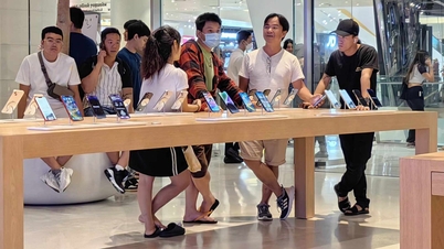 Việt Nam có thể bán iPhone 17 cùng thời điểm với Mỹ, Singapore