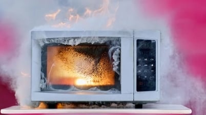 Vì sao không được cho kim loại vào lò vi sóng?