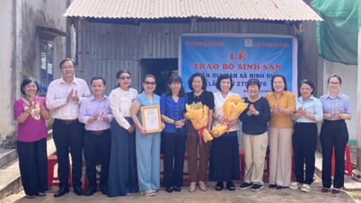 Trao tặng bò sinh sản cho phụ nữ khó khăn xã Ninh Điền
