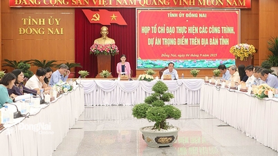গুরুত্বপূর্ণ প্রকল্প এবং কাজের অগ্রগতি ত্বরান্বিত করার জন্য সমকালীন সমাধান প্রয়োজন।
