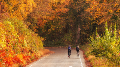 Top 5 der Herbst-Reiseziele in den Niederlanden: Entdecken Sie das „Land der Tulpen“, das sich in den Herbst verwandelt