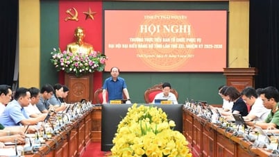 Đẩy nhanh tiến độ triển khai thực hiện các nội dung phục vụ Đại hội đại biểu Đảng bộ tỉnh, nhiệm kỳ 2025 - 2030