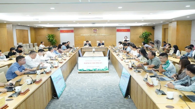과학, 기술, 혁신 및 디지털 전환을 위한 법적 통로 완성에 집중