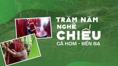 Trăm năm nghề chiếu Cà Hom - Bến Bạ