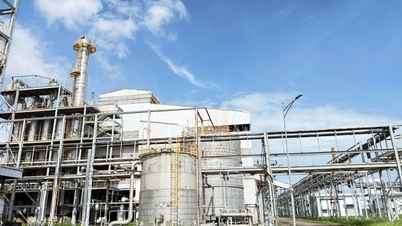 Redémarrage urgent de l'usine Dung Quat, prête pour l'essence E10
