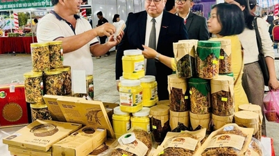 Hỗ trợ 50% giá gian hàng tham gia hội chợ thương mại quốc tế Việt – Trung