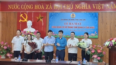 Tập trung phát triển công đoàn cơ sở