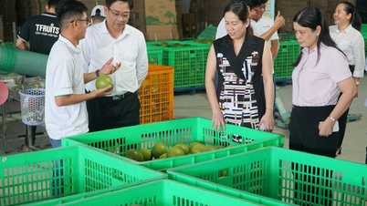 Perluasan saluran konsumsi produk pertanian provinsi