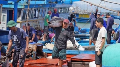 Aferrándose resilientemente al mar, preservando las zonas de pesca