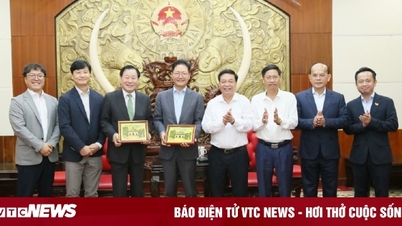 Hưng Yên sẽ có nhà máy sản xuất rượu Soju trị giá 100 triệu USD