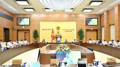 Постоянный комитет Национальной ассамблеи дает заключения по вопросам профилактики и борьбы с коррупцией.