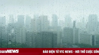Loại mưa axit mới đang gây lo ngại cho giới khoa học