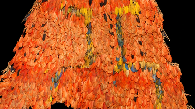 World's rarest 16th century feather cloak discovered