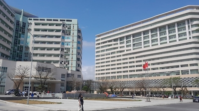 다낭을 지역 전문 의료 센터로 구축