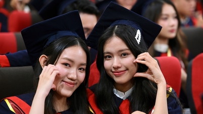 Kapan nama Kementerian Pendidikan dan Pelatihan lahir?