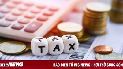 Cá nhân kinh doanh vượt 200 triệu đồng/năm có thể nộp thuế suất 17%