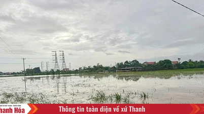 Early construction of irrigation and drainage works for the communes: Nga An, Tan Tien, Ho Vuong