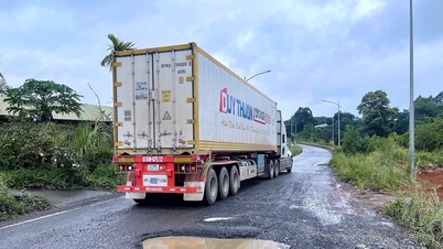 Gia Nghia bypass is degraded and unsafe for traffic.