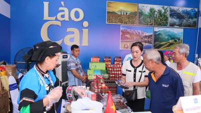Triển lãm thành tựu đất nước: Cơ hội để các tỉnh, thành phố quảng bá hình ảnh, tiềm năng