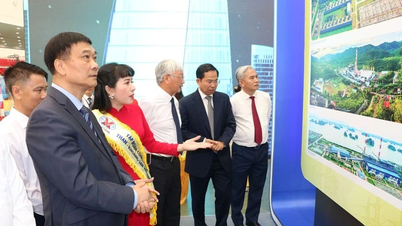 TKV 80 năm đồng hành cùng đất nước