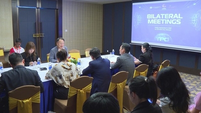 Vice Chairman of Ho Chi Minh City People's Committee Nguyen Van Dung received the Director of Asia-Pacific Region of the United Nations Tourism Organization