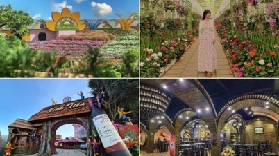 Latour Tourism, διοργανωτής εκδρομών στο Νταλάτ για να εξερευνήσετε τη γη των χιλιάδων λουλουδιών
