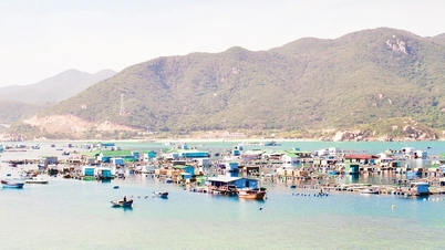 Lâm Đồng mở hướng phát triển thủy sản bền vững