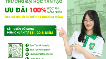 Trường Đại học Tân Tạo miễn phí 100% học phí năm đầu cho thí sinh xét tuyển bổ sung đạt từ 20 điểm