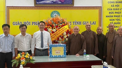 Lãnh đạo Sở Dân tộc và Tôn giáo tỉnh chúc mừng Ban Trị sự GHPGVN tỉnh Gia Lai