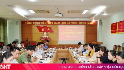 Ha Tinh گھریلو تشدد کی روک تھام اور مقابلہ کرنے سے متعلق پالیسیوں اور قوانین کو مؤثر طریقے سے نافذ کرتا ہے۔