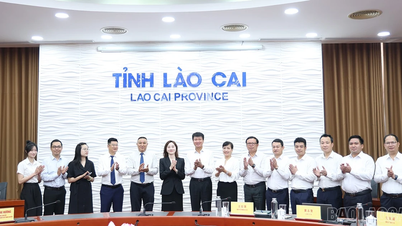 Der Vorsitzende des Volkskomitees der Provinz, Tran Huy Tuan, arbeitete mit dem Trang Nghiem Research Institute Co., Ltd. (China) zusammen.