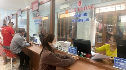100% cơ quan, đơn vị phân công thủ trưởng phụ trách trực tiếp công tác cải cách hành chính